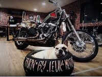 leuk-motorcycle